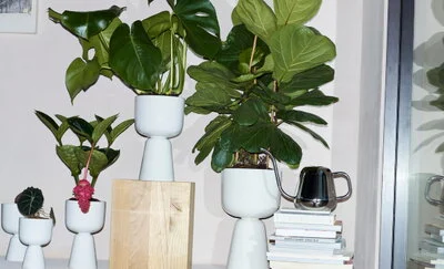 Celebrate the season of renewal